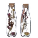 3954-Trockenblumen-im-Glas-mit-Korken-in-vielen-Groessen-zur-Auswahl--Im-Set-mit-2-Stk---_8.jpg