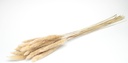 4046-Pampasgras-Mini-in-Natur--Groesse-ca--60cm--Packung-mit-20-Stueck-_1.jpg