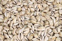 4075-Cypraea-annulus--0-5kg--ca--2cm--ca--600-700-Stueck---Monetaria-annulus_3.jpg