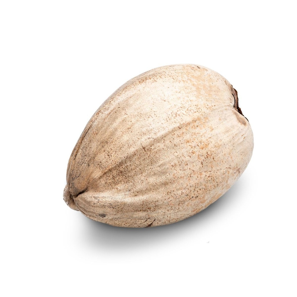 Kokosnuss ganz ca. 20cm 2
