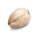 Kokosnuss ganz ca. 20cm 2