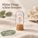 Glasdom Mini – Beispielgröße Ø2 ×4 cm: mit kleiner Trockendekoration unter geschlossenem Glas auf Leinen