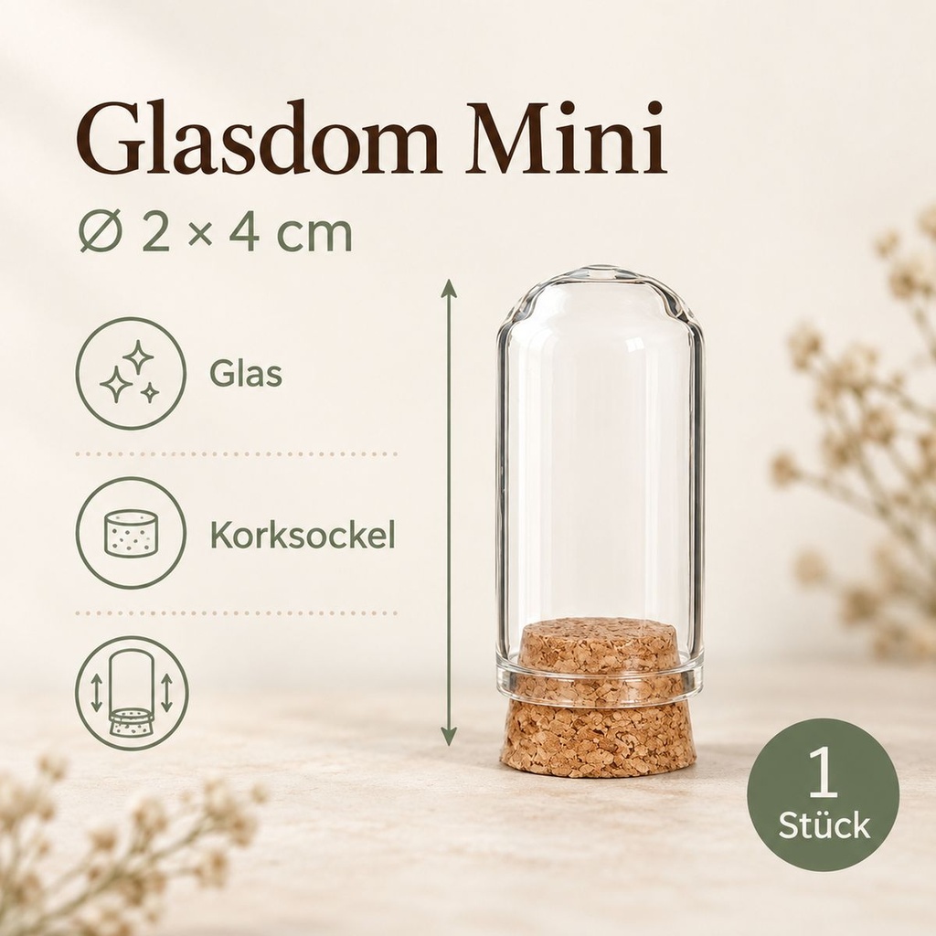 Glasdom Mini, Ø2 ×4 cm – Maße und Lieferumfang: ein Glasdom mit Korksockel