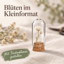Glasdom Mini, Ø2 ×4 cm – mit kleiner Trockendekoration unter geschlossenem Glas auf Leinen