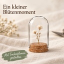 Glasdom Mini, Ø4 ×6 cm – mit kleiner Trockendekoration unter geschlossenem Glas auf Leinen