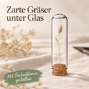 Glasdom Mini, Ø2 ×7 cm – mit kleiner Trockendekoration unter geschlossenem Glas auf Leinen
