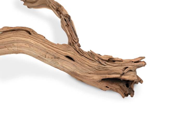 Ghostwood Baum sandgestrahlt ca. 90cm ho 2