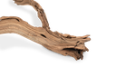Ghostwood Baum sandgestrahlt ca. 90cm ho 2