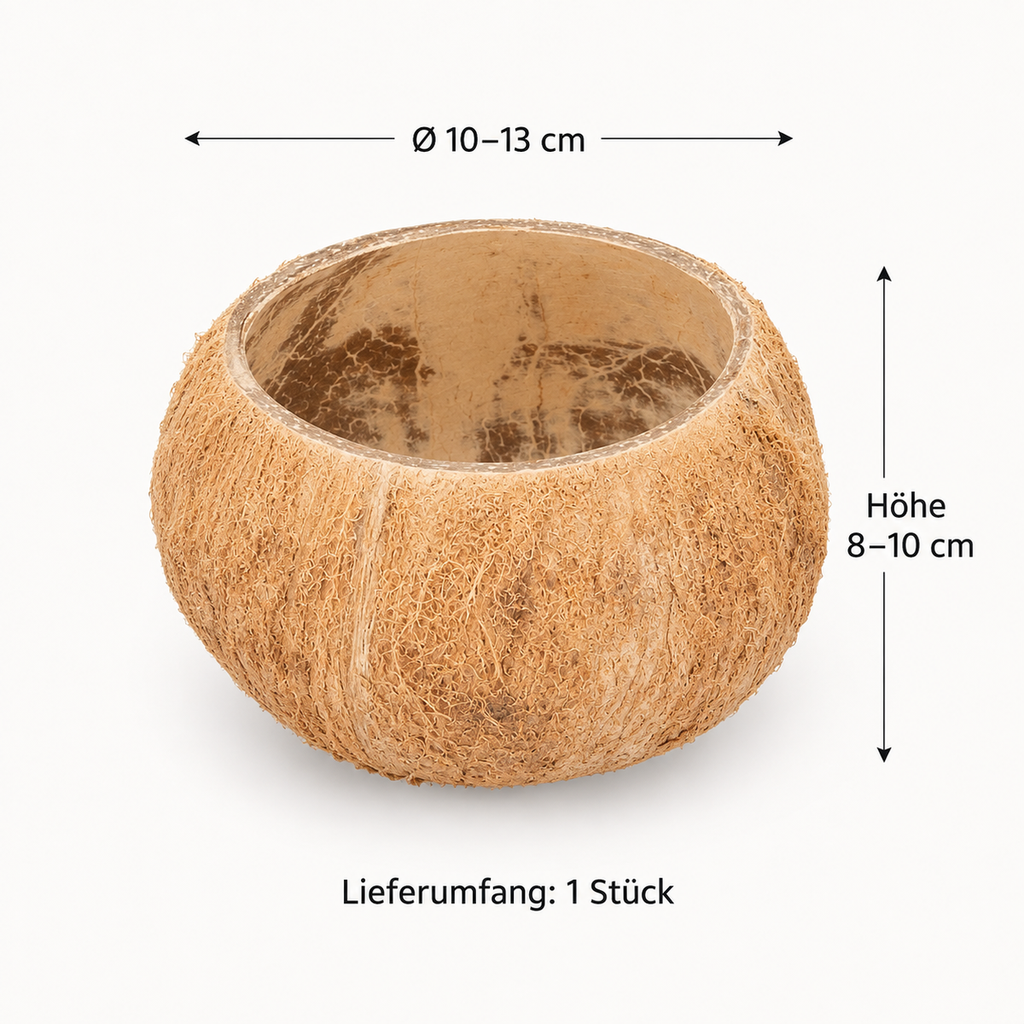 Kokosnuss Schale Natur Ø 10–13 cm Kokos  2