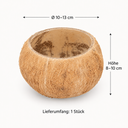 Kokosnuss Schale Natur Ø 10–13 cm Kokos  2