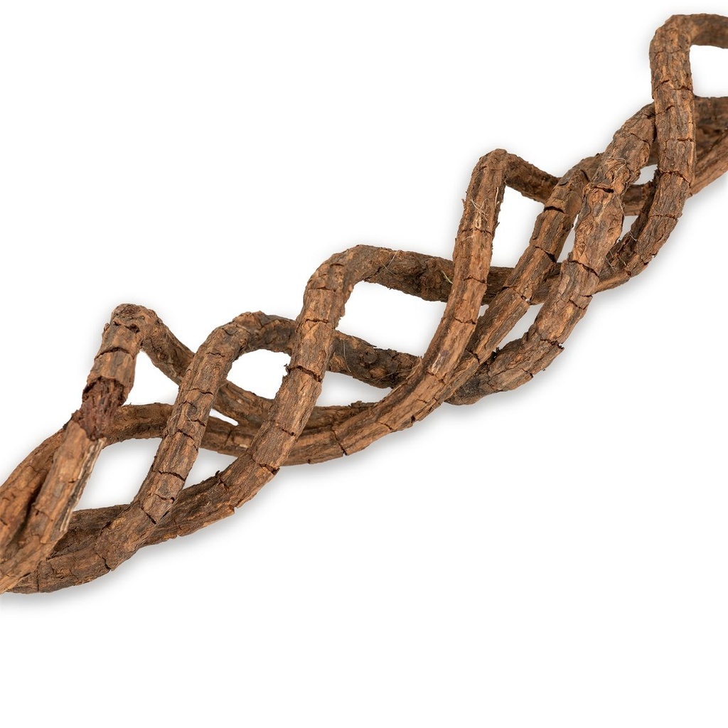 Deko Lianen Bündel ca. 50cm 8 Stück 2