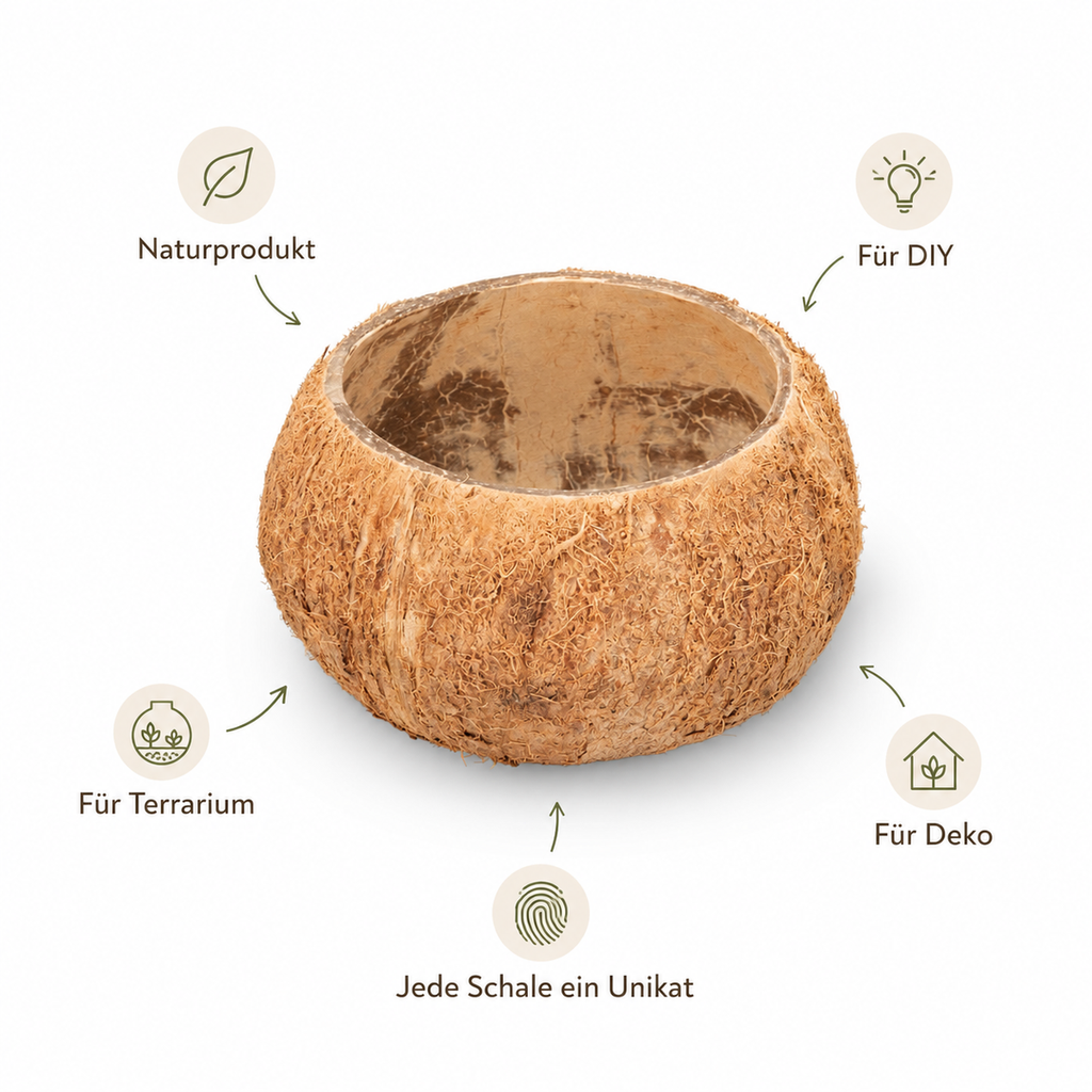 Kokosnuss Schale Natur Ø 10–13 cm Kokos  3