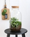 Zylinder Flasche mit Korken Höhe 22cm Ø1 2