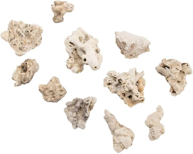 5678-Sahara-Steine-in-Natur--Groesse-ca--5-10-cm--Gewicht-ca--450g---Natursteine.jpg