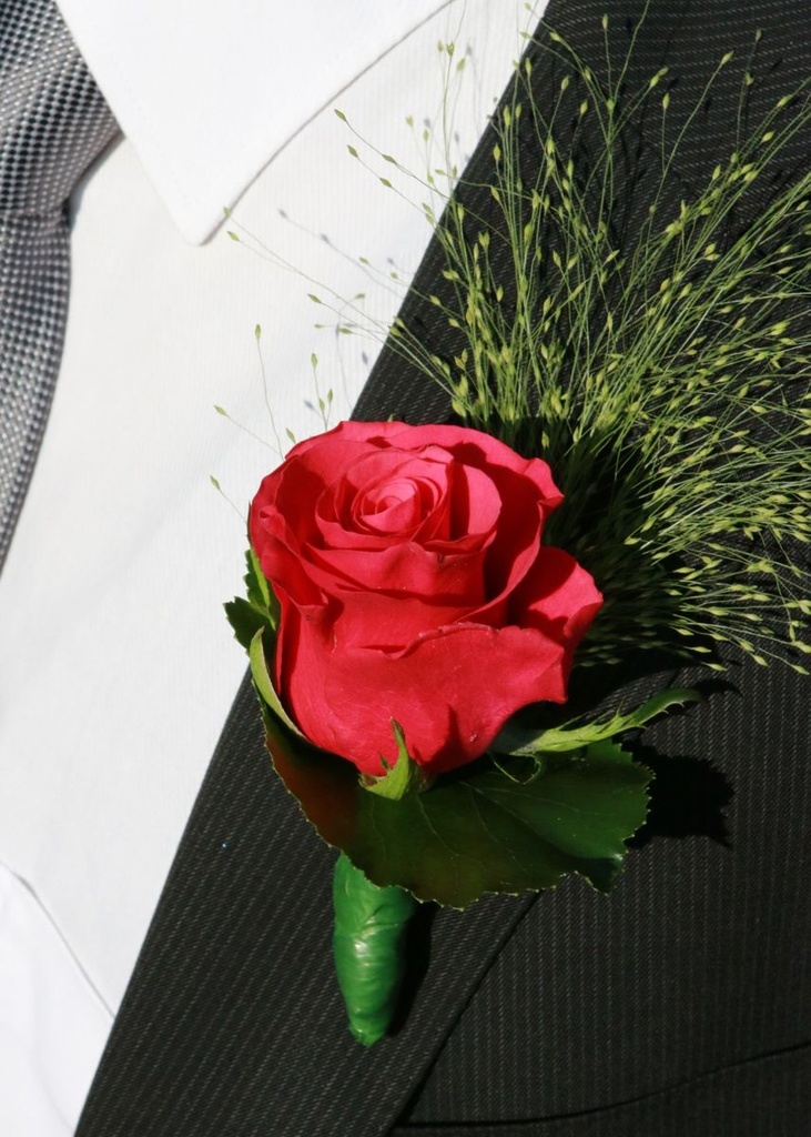 5709-Corsage-Magnete-50-Stueck----12-x-2mm---Neodym-Magnete---Blumenschmuck-Magnete---Magnet--Deco-Tight----Fliristik-Magnete---Deko-Magnete_3.jpg