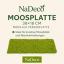 Moosplatte ca. 38x18cm | Moosmatte 2