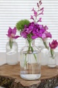 5725-Kleine-Glasvase-h-12-cm----7-cm-Perfekt-als-Kerzenhalter-fuer-Dinnerkerzen---Vintage-Design---Traumhafte-Deko-fuer-Hochzeit---Ideal-fuer-Trockenblumen-im-Glas-mit-Kerzen---Flaschen-_5.jpg