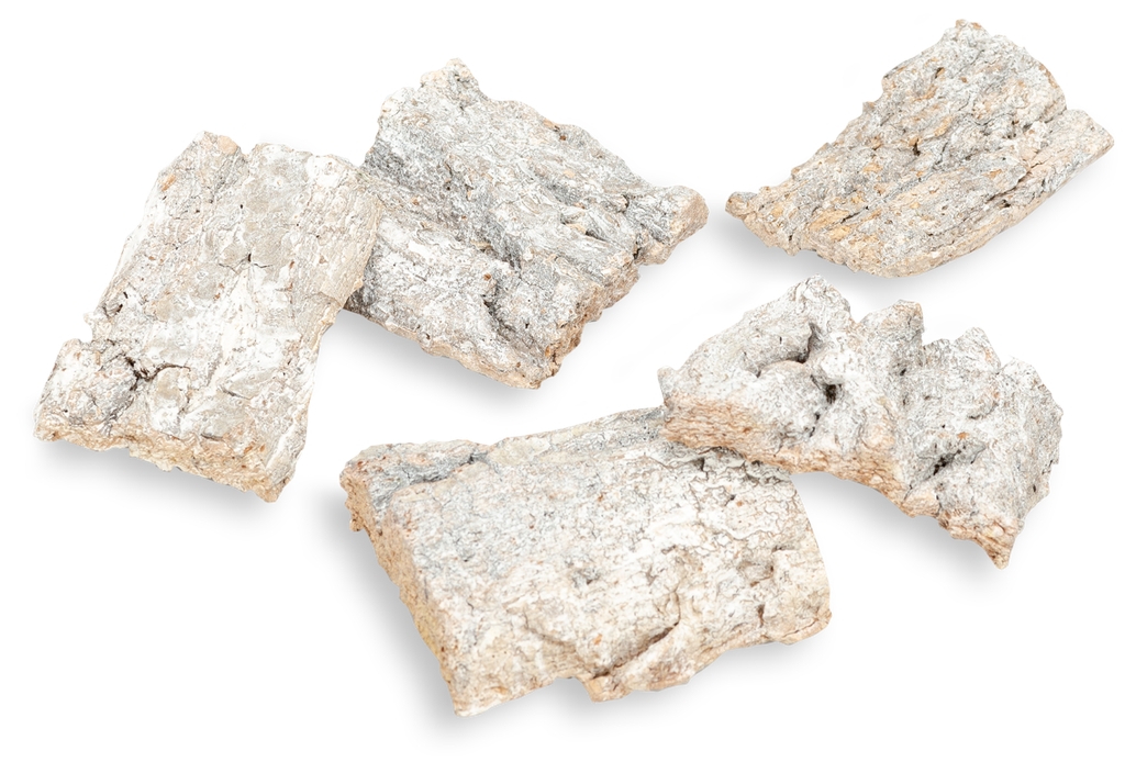 Baumrinde weiß Größe 5-6cm ca. 200g 2