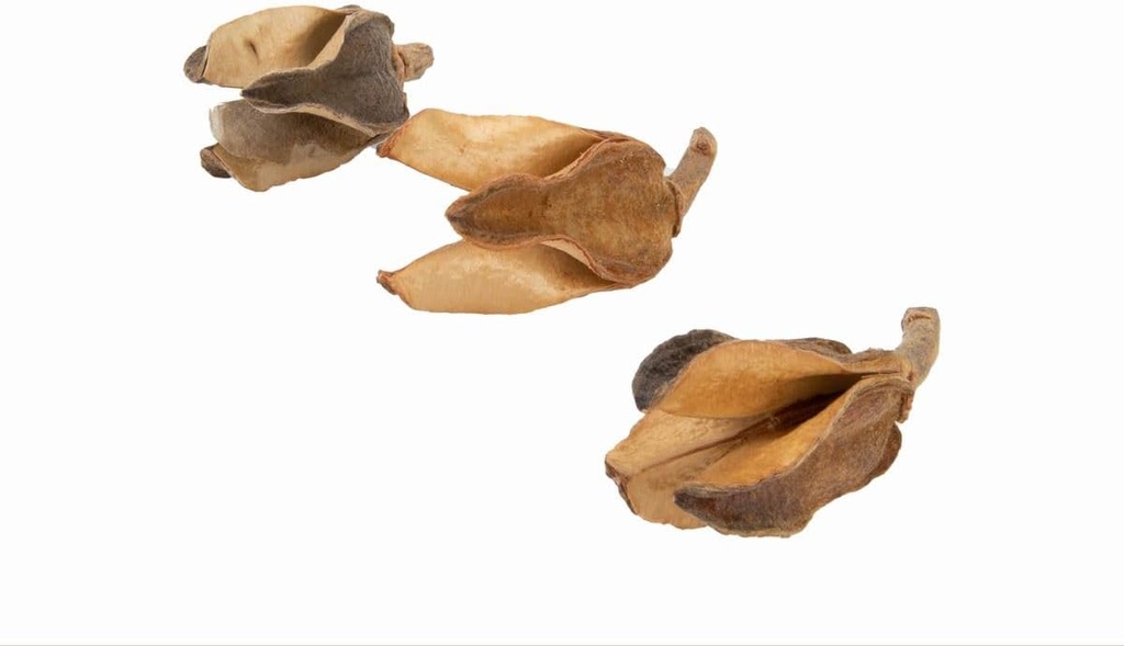 5730-Bata-caixa-Natur--ca--4-7cm--verpackt-mit-200g---Salvertia-convallariodora---Streudeko---Naturdeko-zum-Basteln-und-Dekorieren---Exotische-Dekoration---DIY---Exotische-Torraumdekorat_1.jpg