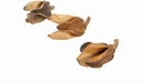 5730-Bata-caixa-Natur--ca--4-7cm--verpackt-mit-200g---Salvertia-convallariodora---Streudeko---Naturdeko-zum-Basteln-und-Dekorieren---Exotische-Dekoration---DIY---Exotische-Torraumdekorat_1.jpg