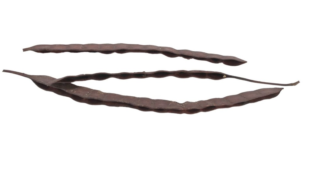 5732-Deko-Bohnen-Schote-Natur--Laenge-20-25-cm-verpackt-im-Beutel-mit-200g---Anadenanthera-macrocarpa_2.jpg