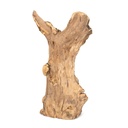 5739-Teak-Wurzel-stehend--Hoehe-ca--25-35cm--Durchmesser----ca--10-15cm.jpg