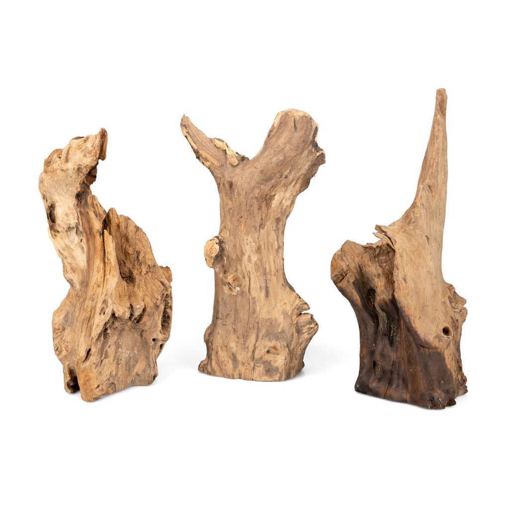 5739-Teak-Wurzel-stehend--Hoehe-ca--25-35cm--Durchmesser----ca--10-15cm_1.jpg