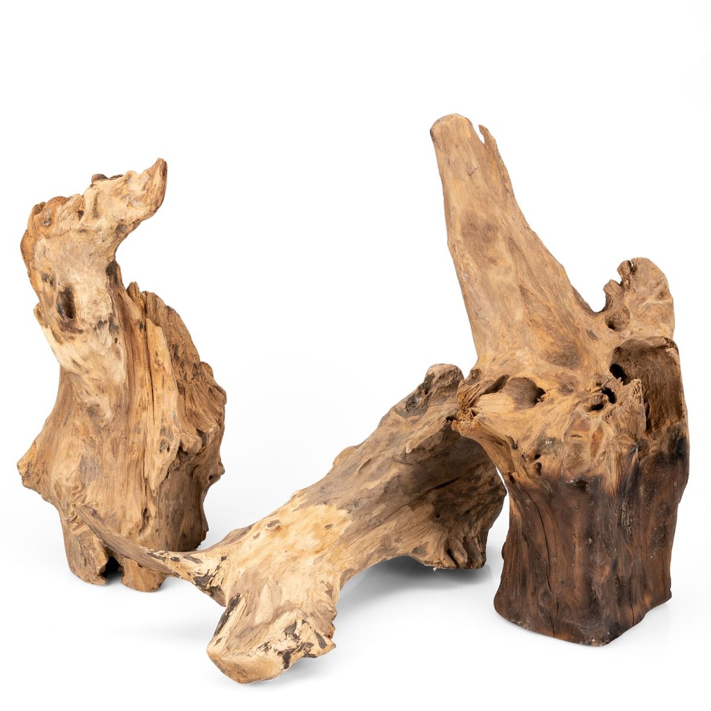 5739-Teak-Wurzel-stehend--Hoehe-ca--25-35cm--Durchmesser----ca--10-15cm_2.jpg