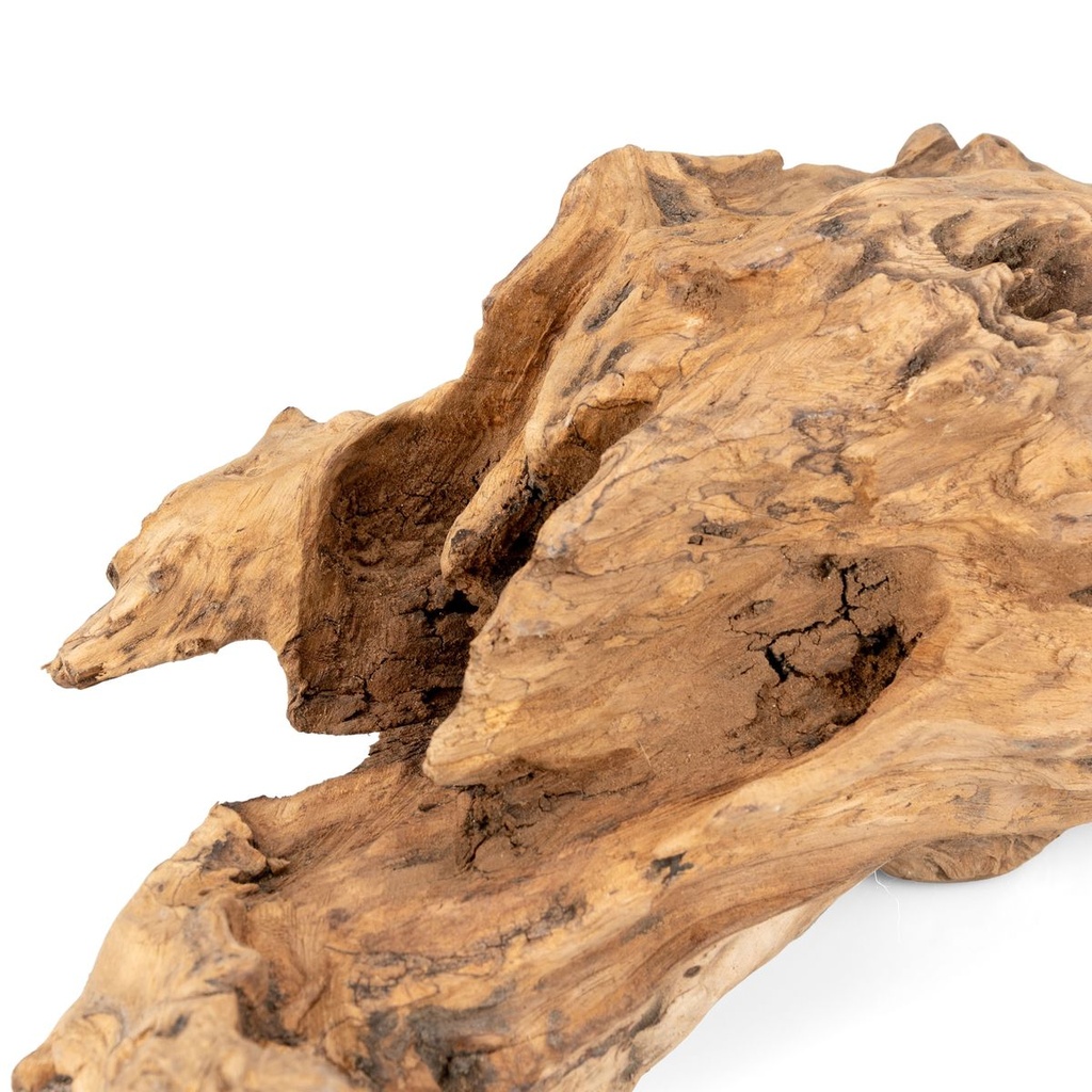 5739-Teak-Wurzel-stehend--Hoehe-ca--25-35cm--Durchmesser----ca--10-15cm_3.jpg