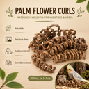 5747-Palmen-Blueten-Locken-20-Stk--5---7-cm-Naturdeko-Spiralen-Terrarium-Vogelspielzeug-_2.png