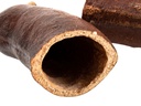 5761-Courbaril-Schote-geoeffnet--Groesse-ca--8-10cm---Hymenaea-courbaril-_4.jpg