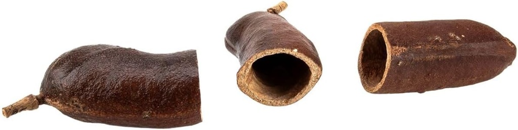 5761-Courbaril-Schote-geoeffnet--Groesse-ca--8-10cm---Hymenaea-courbaril-_1.jpg