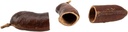 5761-Courbaril-Schote-geoeffnet--Groesse-ca--8-10cm---Hymenaea-courbaril-_1.jpg