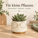 Blumentopf mit Gesicht und Brille Gold, Gold, Ø 8.5 cm, H 6.5 cm – im Einsatz