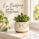 Blumentopf mit Gesicht und Brille Gold, Gold, Ø 8.5 cm, H 6.5 cm – dekoriert im Wohnraum