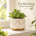 Blumentopf mit Gesicht und Brille Gold, Gold, Ø 12 cm, H 9 cm – dekoriert im Wohnraum