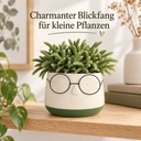 Blumentopf mit Gesicht und Brille Grün, Grün, Ø 13.5 cm, H 10.5 cm – im Einsatz