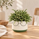 Blumentopf mit Gesicht und Brille Grün, Grün, Ø 13.5 cm, H 10.5 cm – dekoriert im Wohnraum