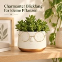 Blumentopf mit Gesicht und Brille Gold, Gold, Ø 13.5 cm, H 10.5 cm – im Einsatz