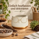 Blumentopf mit Gesicht und Brille Gold, Gold, Ø 13.5 cm, H 10.5 cm – in einer zweiten Verwendung