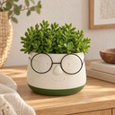 Blumentopf mit Gesicht und Brille Grün, Grün, Ø 16 cm, H 11.5 cm – dekoriert im Wohnraum