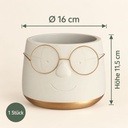 Blumentopf mit Gesicht und Brille Gold, Gold, Ø 16 cm, H 11.5 cm – Maße und Liefermenge auf einen Blick