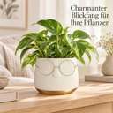 Blumentopf mit Gesicht und Brille Gold, Gold, Ø 16 cm, H 11.5 cm – im Einsatz