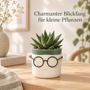 Blumentopf Harry mit Gesicht und Brille Grün, Grün, Ø 7.5 cm, H 7 cm – im Einsatz
