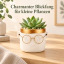 Blumentopf Harry mit Gesicht und Brille Gold, Gold, Ø 7.5 cm, H 7 cm – im Einsatz