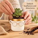 Blumentopf Harry mit Gesicht und Brille Gold, Gold, Ø 7.5 cm, H 7 cm – in einer zweiten Verwendung
