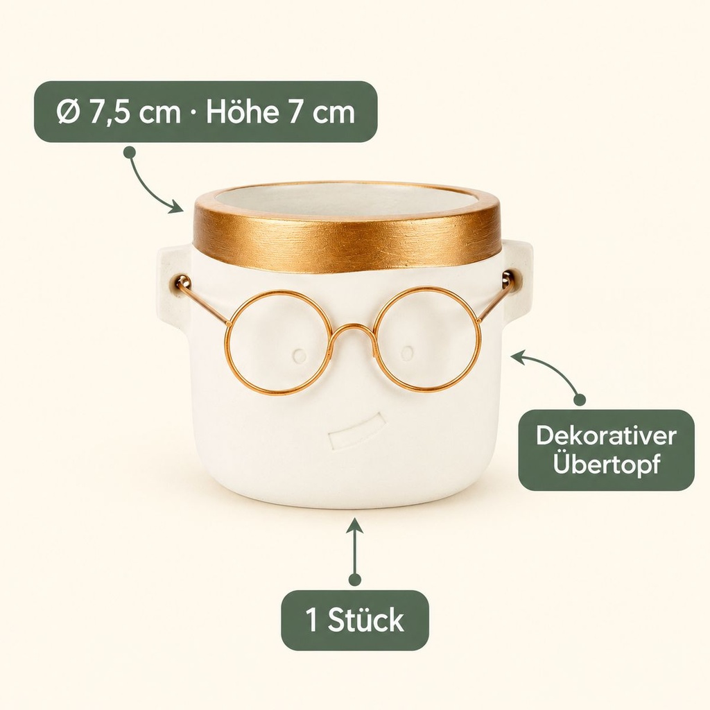 Blumentopf Harry mit Gesicht und Brille Gold, Gold, Ø 7.5 cm, H 7 cm – Eigenschaften im Überblick