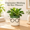 Blumentopf Harry mit Gesicht und Brille Grün, Grün, Ø 10 cm, H 10 cm – im Einsatz