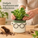 Blumentopf Harry mit Gesicht und Brille Grün, Grün, Ø 10 cm, H 10 cm – in einer zweiten Verwendung