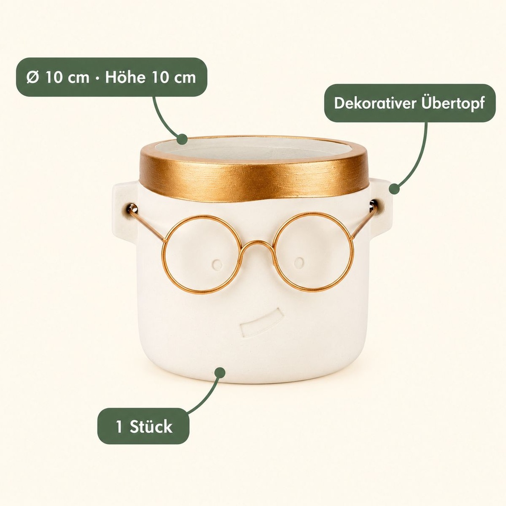 Blumentopf Harry mit Gesicht und Brille Gold, Gold, Ø 10 cm, H 10 cm – Eigenschaften im Überblick